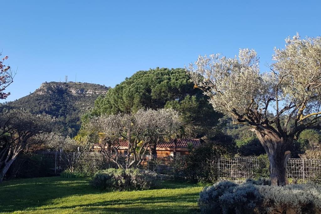 Sous Le Grand Pin Gites Eden En Cevennes Anduze Dış mekan fotoğraf